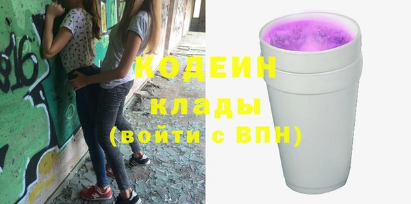 гашик Ельня