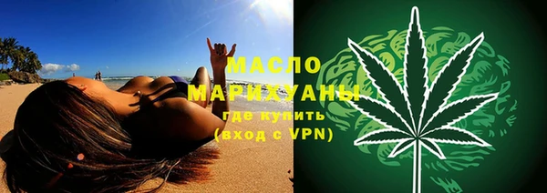 гашик Ельня