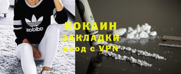 гашик Ельня