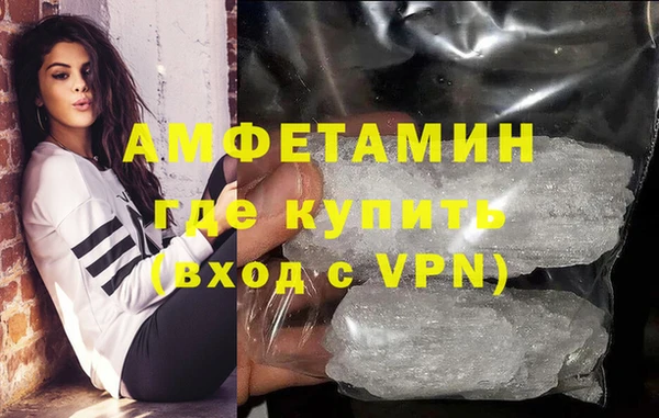 гашик Ельня