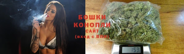 гашик Ельня