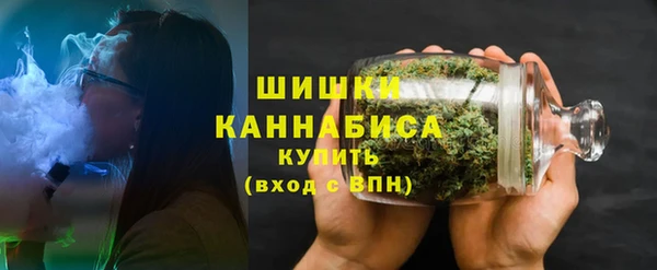 гашик Ельня