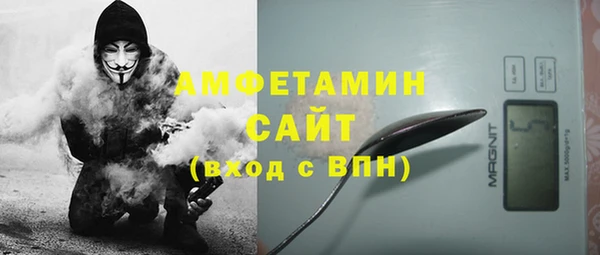 гашик Ельня