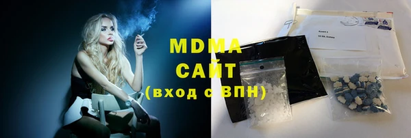 гашик Ельня