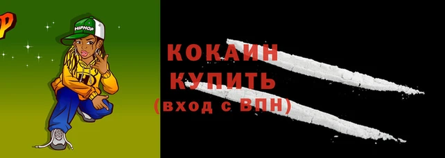 гашик Ельня