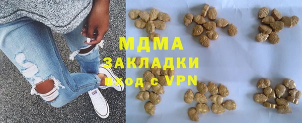 гашик Ельня