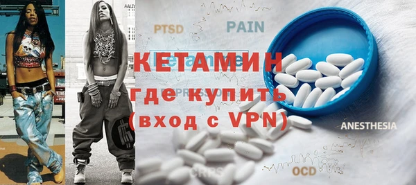 гашик Ельня