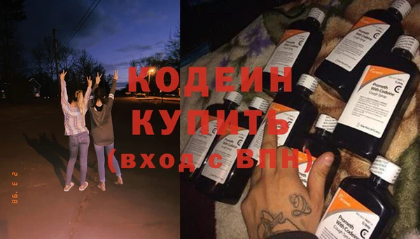 гашик Ельня