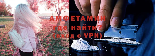 гашик Ельня