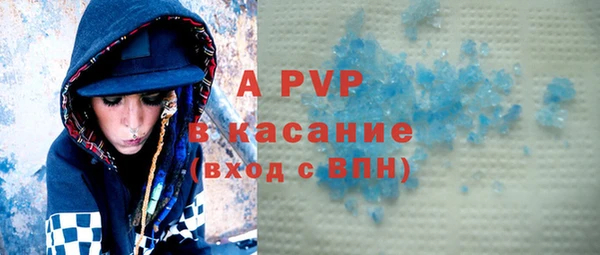 гашик Ельня