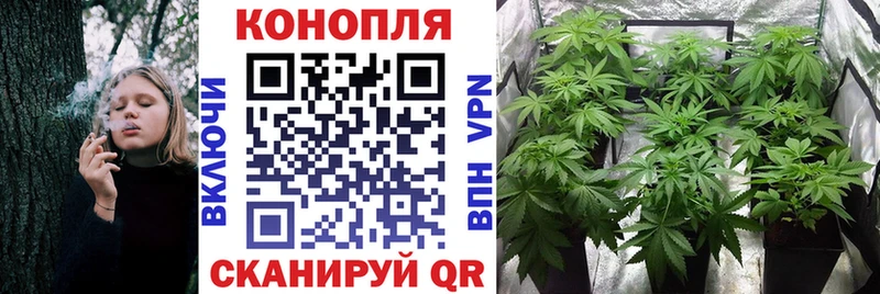 где можно купить   Знаменск  Шишки марихуана гибрид 